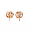 Isabella Solitaire Earring