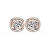 Isabella Solitaire Earring