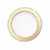 Diana Diamond Band