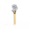 Audrey Diamond Band