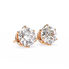 Evianna Solitaire Earring