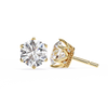 Evianna Solitaire Earring