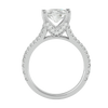 Colette Solitaire Ring