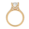 Colette Solitaire Ring