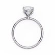 Cara Solitaire Ring