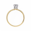 Vega Solitaire Ring