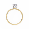 Vega Solitaire Ring