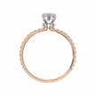 Vega Solitaire Ring