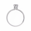 Vega Solitaire Ring