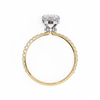 Callisto Solitaire Ring