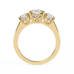 Avalyn Diamond Three Stone Ring